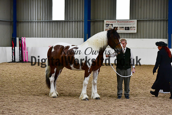 NECWPCA-SUMMER-WELSH-SILVER-MEDAL-SHOW (30 of 150)