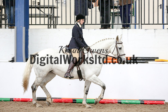NECWPCA-SUMMER-WELSH-SILVER-MEDAL-SHOW (115 of 315)