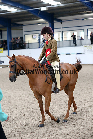 NECWPCA-SUMMER-WELSH-SILVER-MEDAL-SHOW (15 of 315)