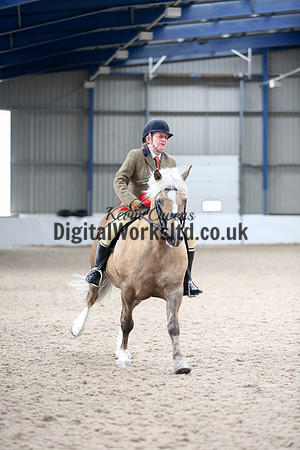 NECWPCA-SUMMER-WELSH-SILVER-MEDAL-SHOW (168 of 325)