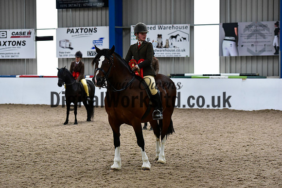NECWPCA-SUMMER-WELSH-SILVER-MEDAL-SHOW (199 of 325)