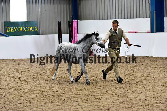NECWPCA-SUMMER-WELSH-SILVER-MEDAL-SHOW (6 of 427)
