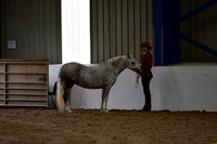 NECWPCA-SUMMER-WELSH-SILVER-MEDAL-SHOW (3 of 412)
