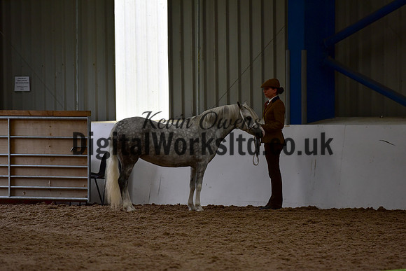 NECWPCA-SUMMER-WELSH-SILVER-MEDAL-SHOW (3 of 412)
