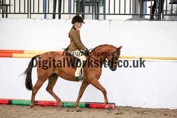 NECWPCA-SUMMER-WELSH-SILVER-MEDAL-SHOW (51 of 325)