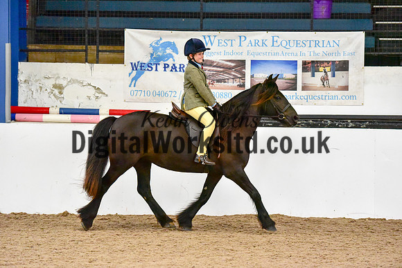 NECWPCA-SUMMER-WELSH-SILVER-MEDAL-SHOW (59 of 419)