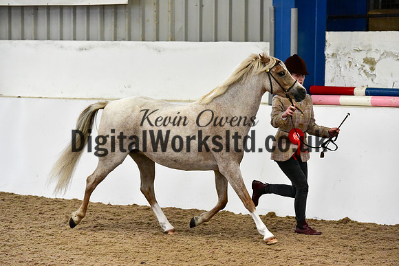 NECWPCA-SUMMER-WELSH-SILVER-MEDAL-SHOW (9 of 91)