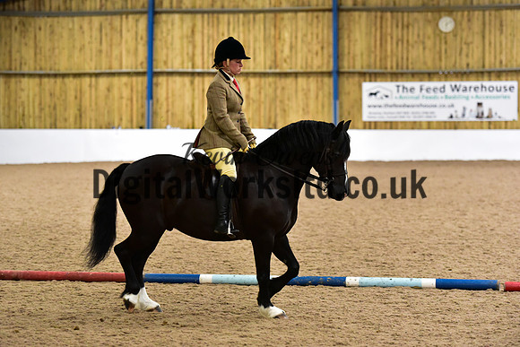 NECWPCA-SUMMER-WELSH-SILVER-MEDAL-SHOW (36 of 315)