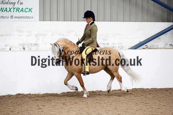 NECWPCA-SUMMER-WELSH-SILVER-MEDAL-SHOW (196 of 315)