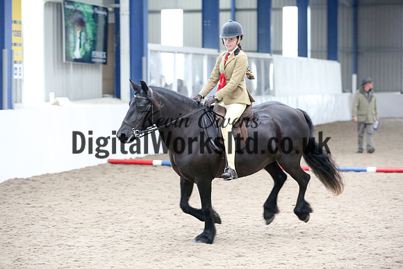 NECWPCA-SUMMER-WELSH-SILVER-MEDAL-SHOW (134 of 315)