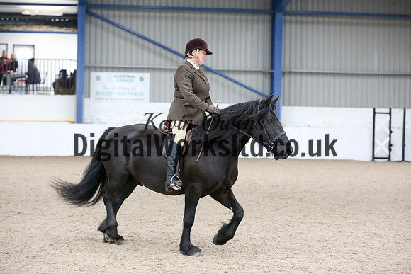 NECWPCA-SUMMER-WELSH-SILVER-MEDAL-SHOW (43 of 419)