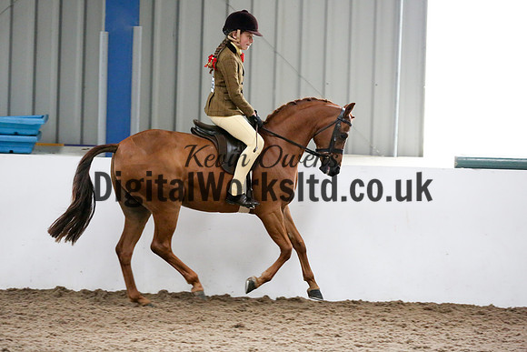 NECWPCA-SUMMER-WELSH-SILVER-MEDAL-SHOW (57 of 325)