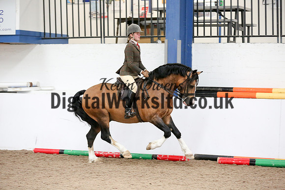 NECWPCA-SUMMER-WELSH-SILVER-MEDAL-SHOW (273 of 315)
