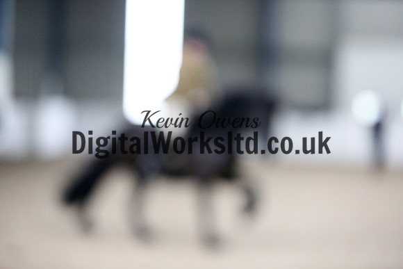 NECWPCA-SUMMER-WELSH-SILVER-MEDAL-SHOW (144 of 325)