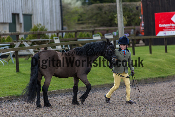 BDH-Point-to-Point-32