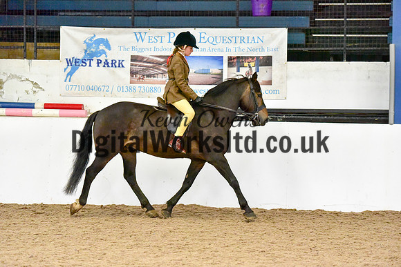NECWPCA-SUMMER-WELSH-SILVER-MEDAL-SHOW (14 of 315)