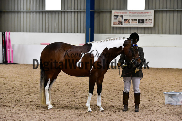 NECWPCA-SUMMER-WELSH-SILVER-MEDAL-SHOW (31 of 150)