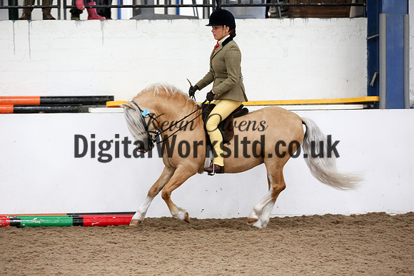 NECWPCA-SUMMER-WELSH-SILVER-MEDAL-SHOW (200 of 315)