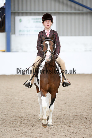 NECWPCA-SUMMER-WELSH-SILVER-MEDAL-SHOW (72 of 419)