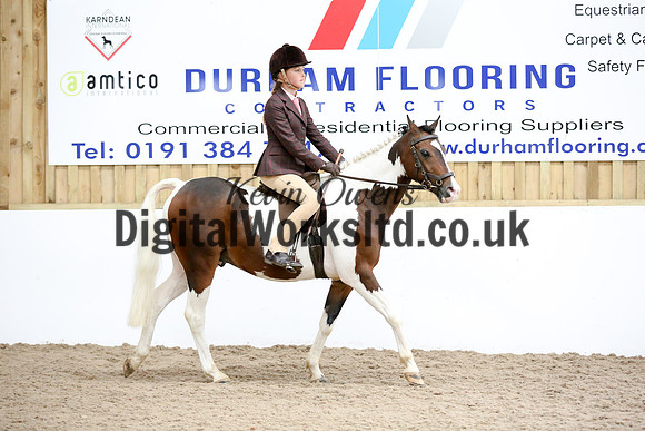 NECWPCA-SUMMER-WELSH-SILVER-MEDAL-SHOW (63 of 419)