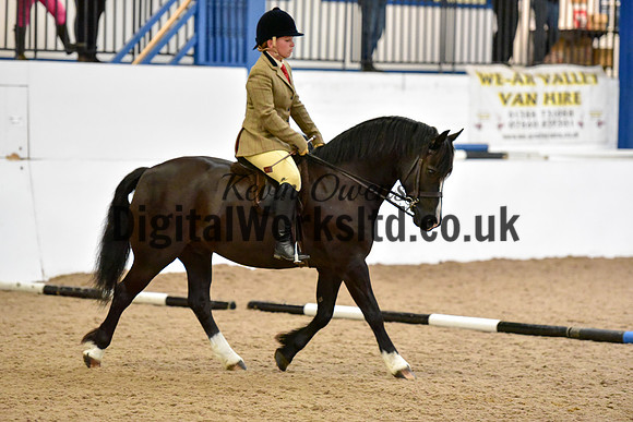 NECWPCA-SUMMER-WELSH-SILVER-MEDAL-SHOW (35 of 315)