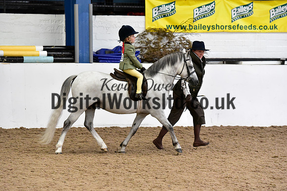 NECWPCA-SUMMER-WELSH-SILVER-MEDAL-SHOW (1 of 419)