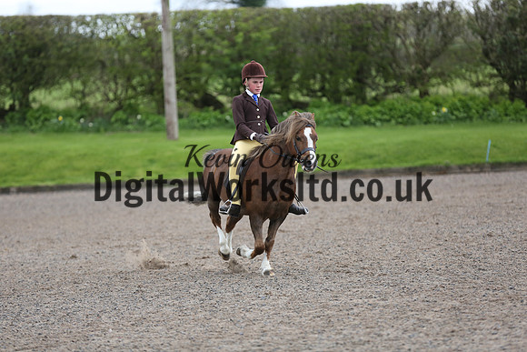 BDH-Point-to-Point-203