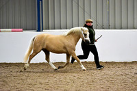NECWPCA-SUMMER-WELSH-SILVER-MEDAL-SHOW (19 of 412)