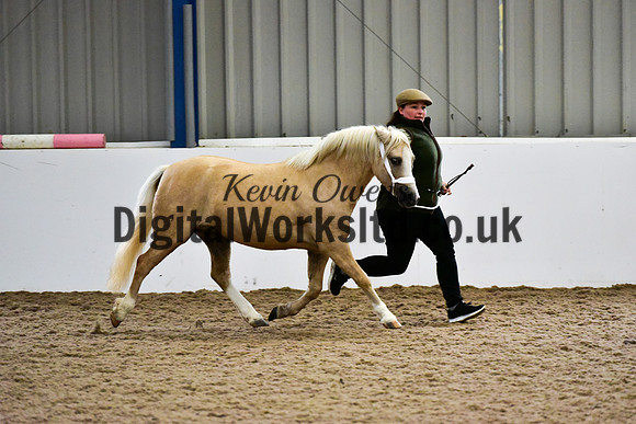 NECWPCA-SUMMER-WELSH-SILVER-MEDAL-SHOW (19 of 412)