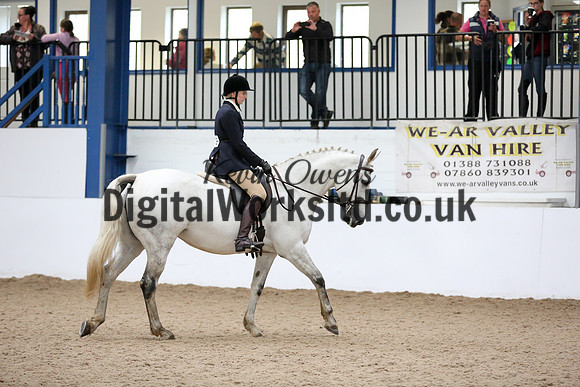 NECWPCA-SUMMER-WELSH-SILVER-MEDAL-SHOW (21 of 315)