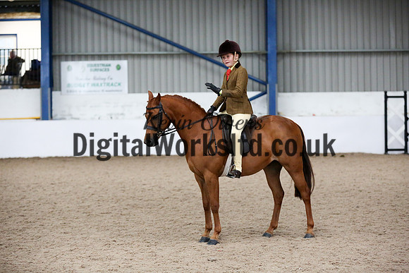 NECWPCA-SUMMER-WELSH-SILVER-MEDAL-SHOW (80 of 325)