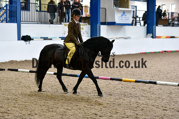 NECWPCA-SUMMER-WELSH-SILVER-MEDAL-SHOW (282 of 315)