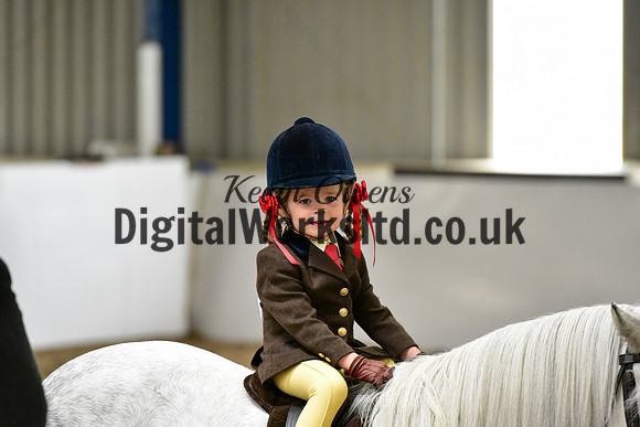 NECWPCA-SUMMER-WELSH-SILVER-MEDAL-SHOW (114 of 120)
