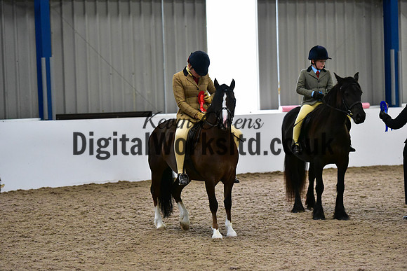NECWPCA-SUMMER-WELSH-SILVER-MEDAL-SHOW (12 of 334)