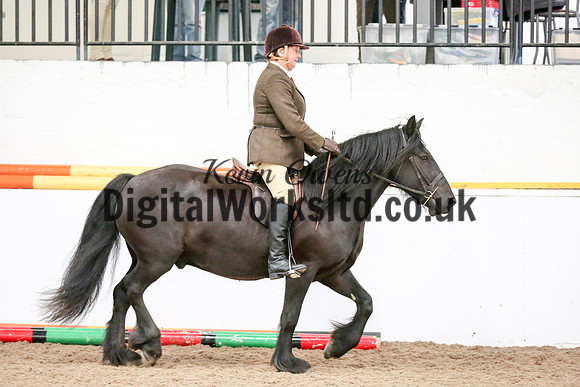 NECWPCA-SUMMER-WELSH-SILVER-MEDAL-SHOW (36 of 419)