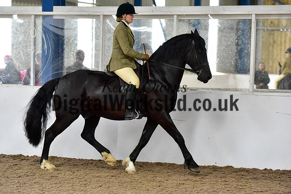 NECWPCA-SUMMER-WELSH-SILVER-MEDAL-SHOW (168 of 315)