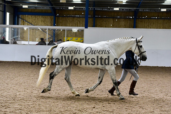NECWPCA-SUMMER-WELSH-SILVER-MEDAL-SHOW (2 of 150)