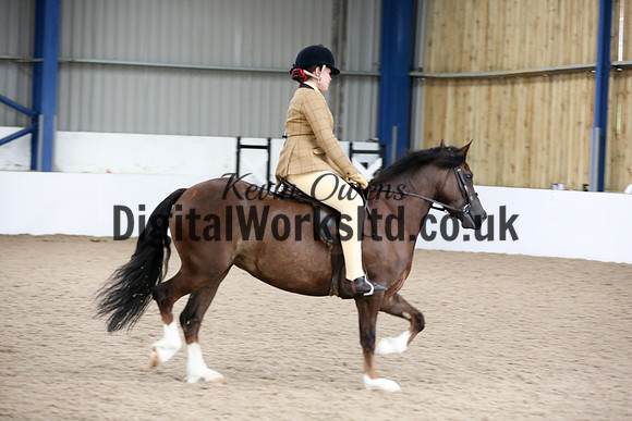 NECWPCA-SUMMER-WELSH-SILVER-MEDAL-SHOW (9 of 325)