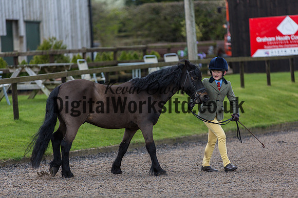 BDH-Point-to-Point-33