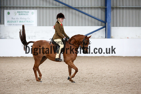 NECWPCA-SUMMER-WELSH-SILVER-MEDAL-SHOW (6 of 315)