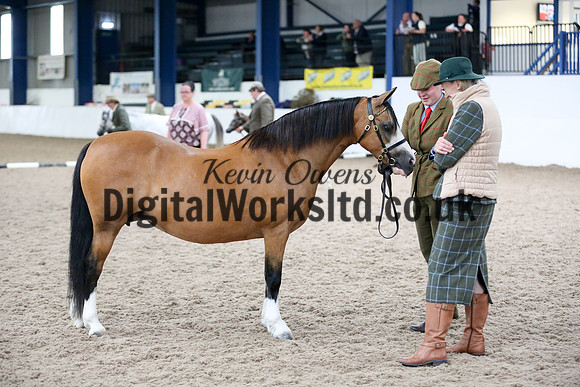 NECWPCA-SUMMER-WELSH-SILVER-MEDAL-SHOW (57 of 427)