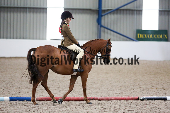 NECWPCA-SUMMER-WELSH-SILVER-MEDAL-SHOW (88 of 419)
