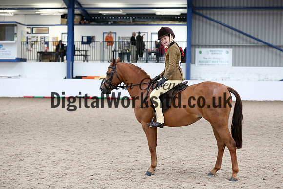 NECWPCA-SUMMER-WELSH-SILVER-MEDAL-SHOW (11 of 315)