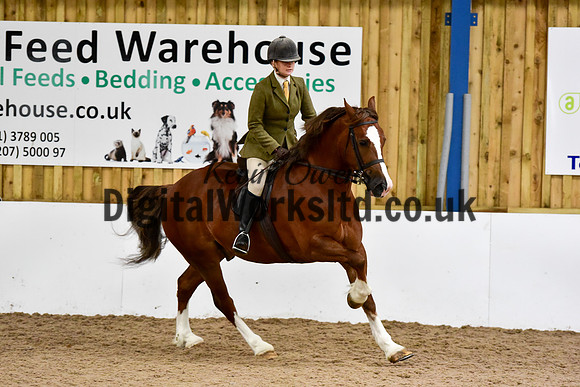 NECWPCA-SUMMER-WELSH-SILVER-MEDAL-SHOW (218 of 325)