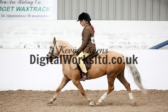 NECWPCA-SUMMER-WELSH-SILVER-MEDAL-SHOW (37 of 325)