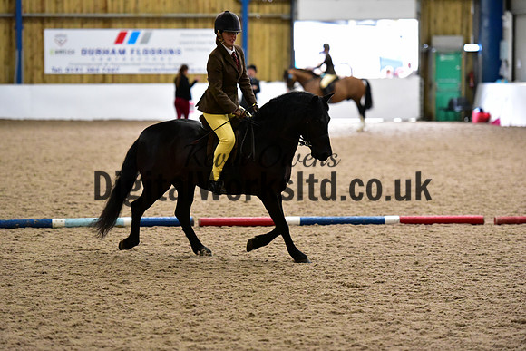 NECWPCA-SUMMER-WELSH-SILVER-MEDAL-SHOW (285 of 315)