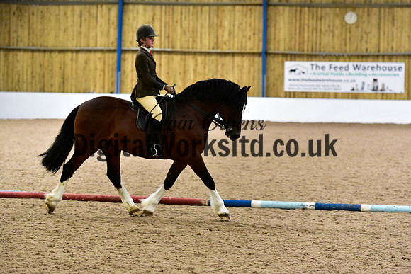 NECWPCA-SUMMER-WELSH-SILVER-MEDAL-SHOW (135 of 325)