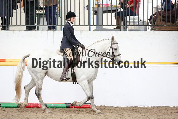 NECWPCA-SUMMER-WELSH-SILVER-MEDAL-SHOW (117 of 315)