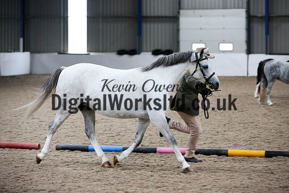 NECWPCA-SUMMER-WELSH-SILVER-MEDAL-SHOW (26 of 427)