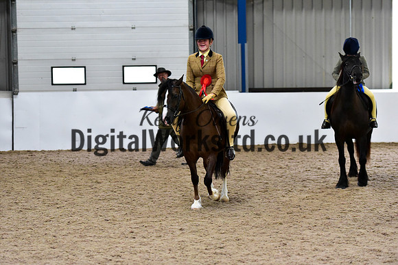 NECWPCA-SUMMER-WELSH-SILVER-MEDAL-SHOW (14 of 334)
